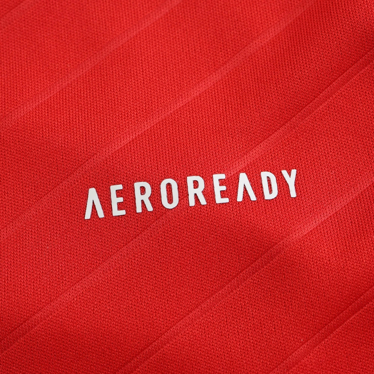 Men's Home Jersey 24/25