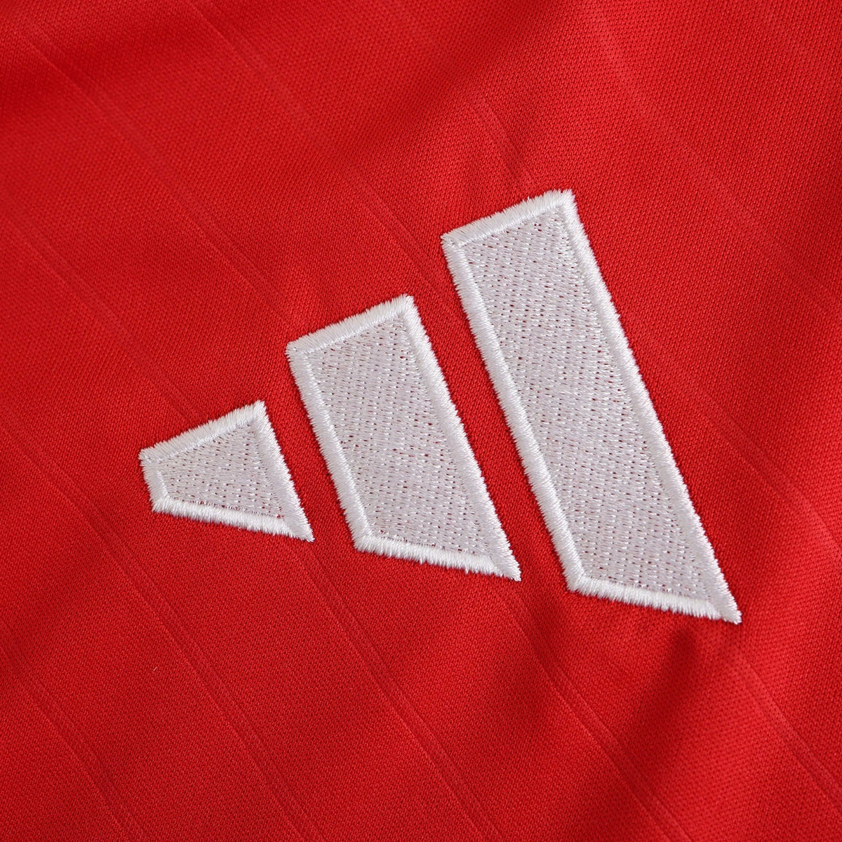 Men's Home Jersey 24/25