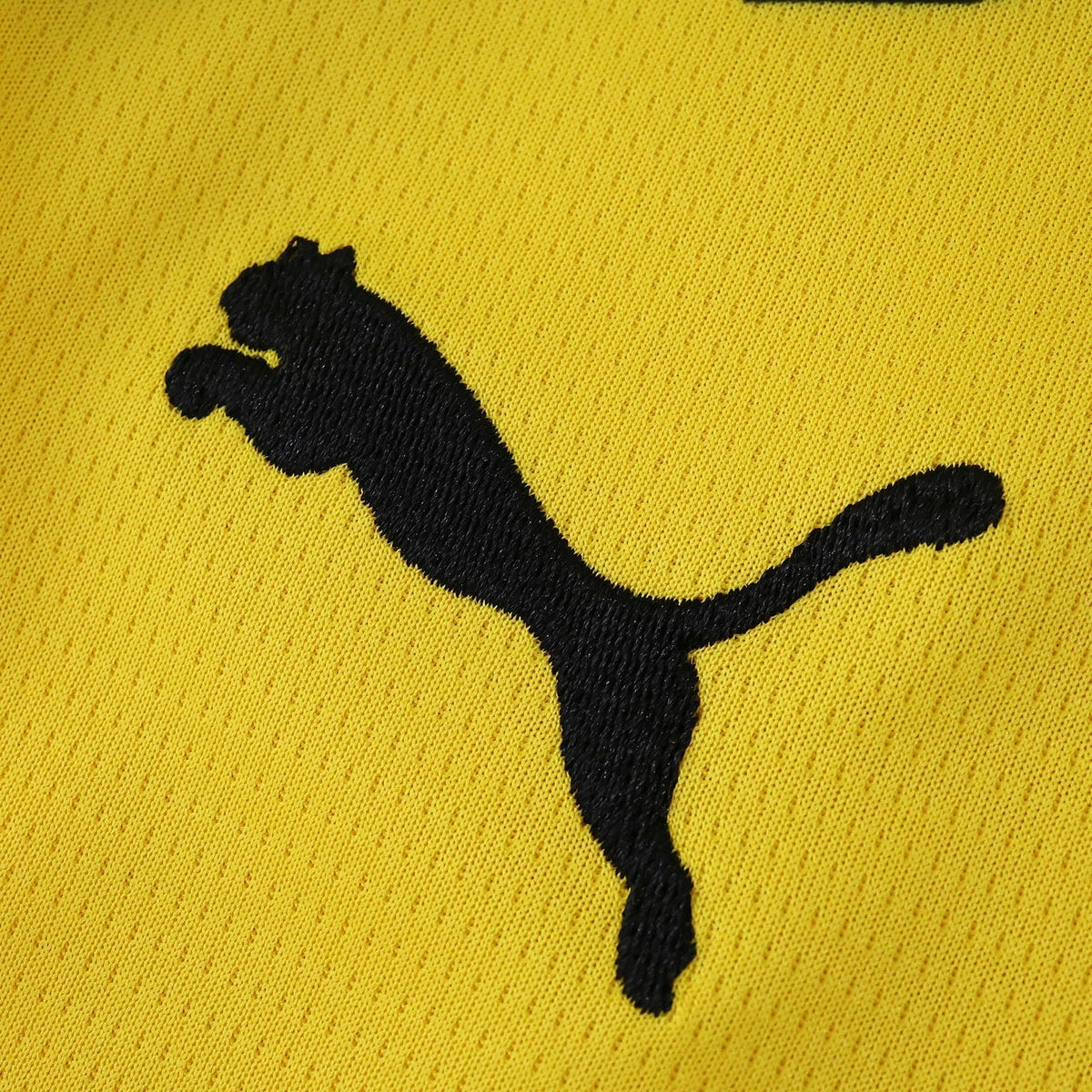 Men's Home Jersey 25/26
