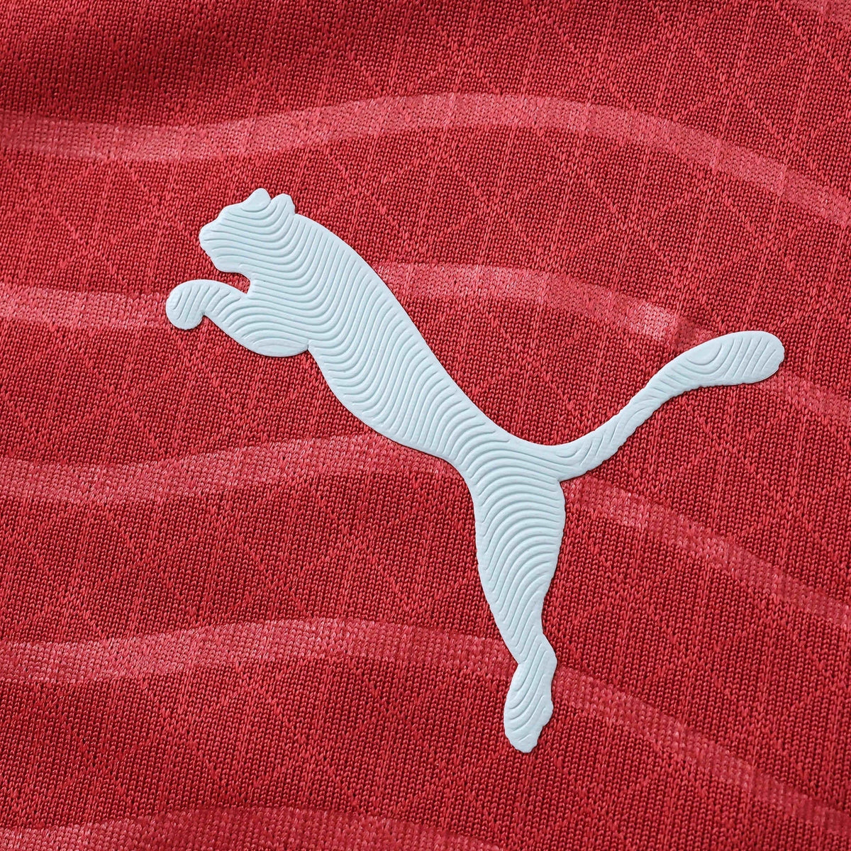 Player Version Home Long Sleeve Jersey 26/27