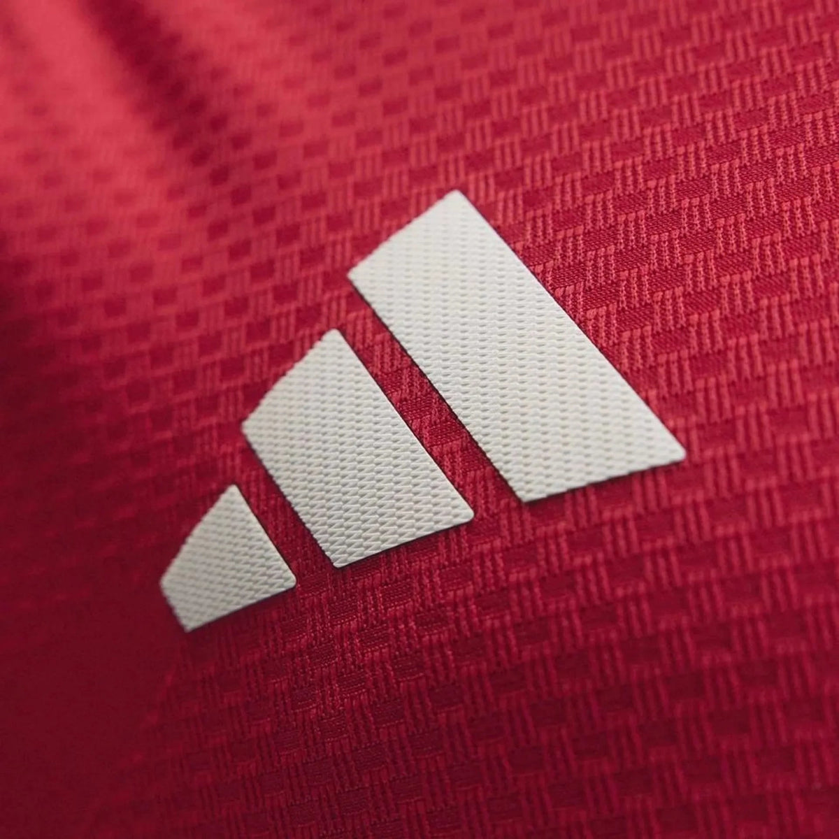 Player Version Home Jersey 26/27