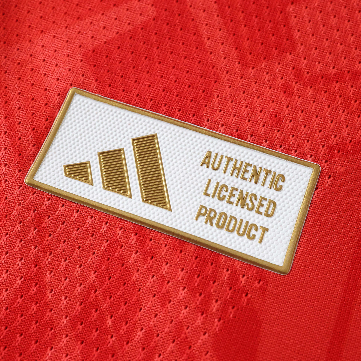 Player Version Home Jersey 26/27