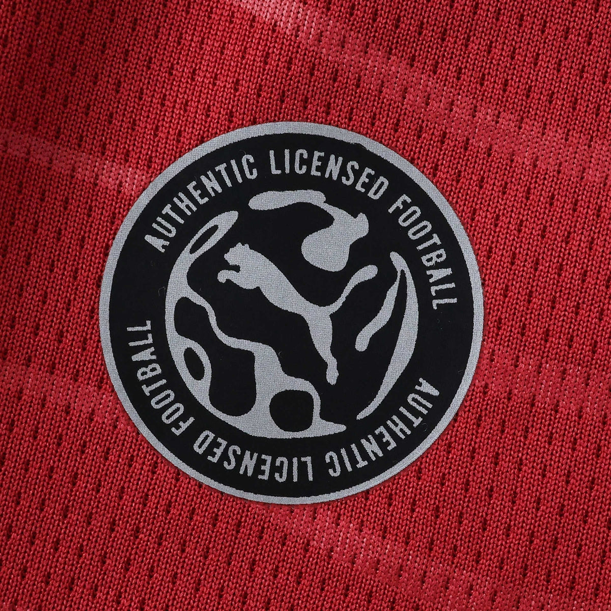 Men's Home Jersey 26/27