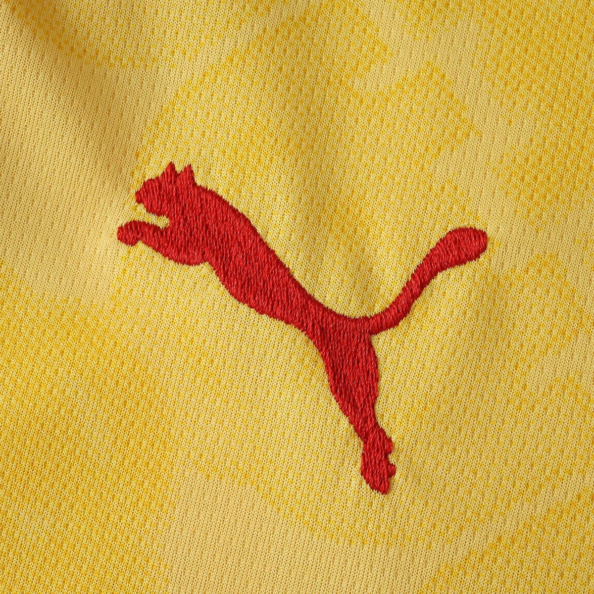 Men's Third Jersey 25/26