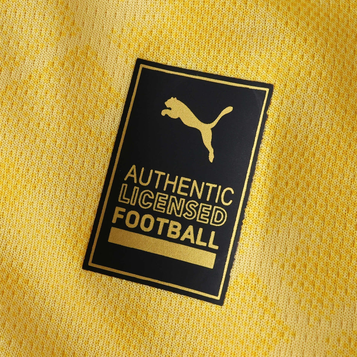Men's Third Jersey 25/26