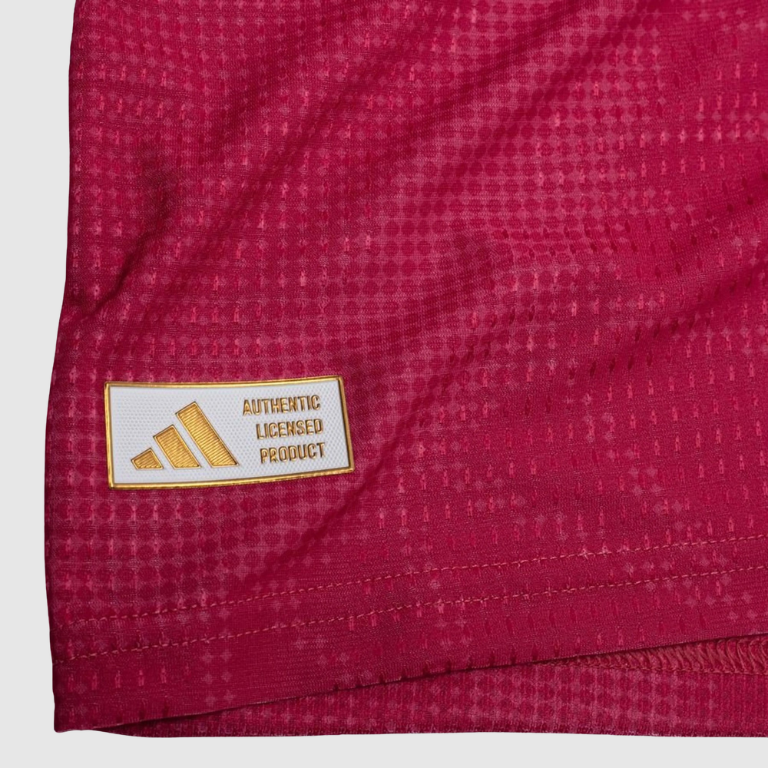Player Version Third Long Sleeve Jersey 26/27